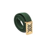 Green Elastic RB belt with golden buckle - Image 5