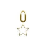 Golden Charm - Star/White